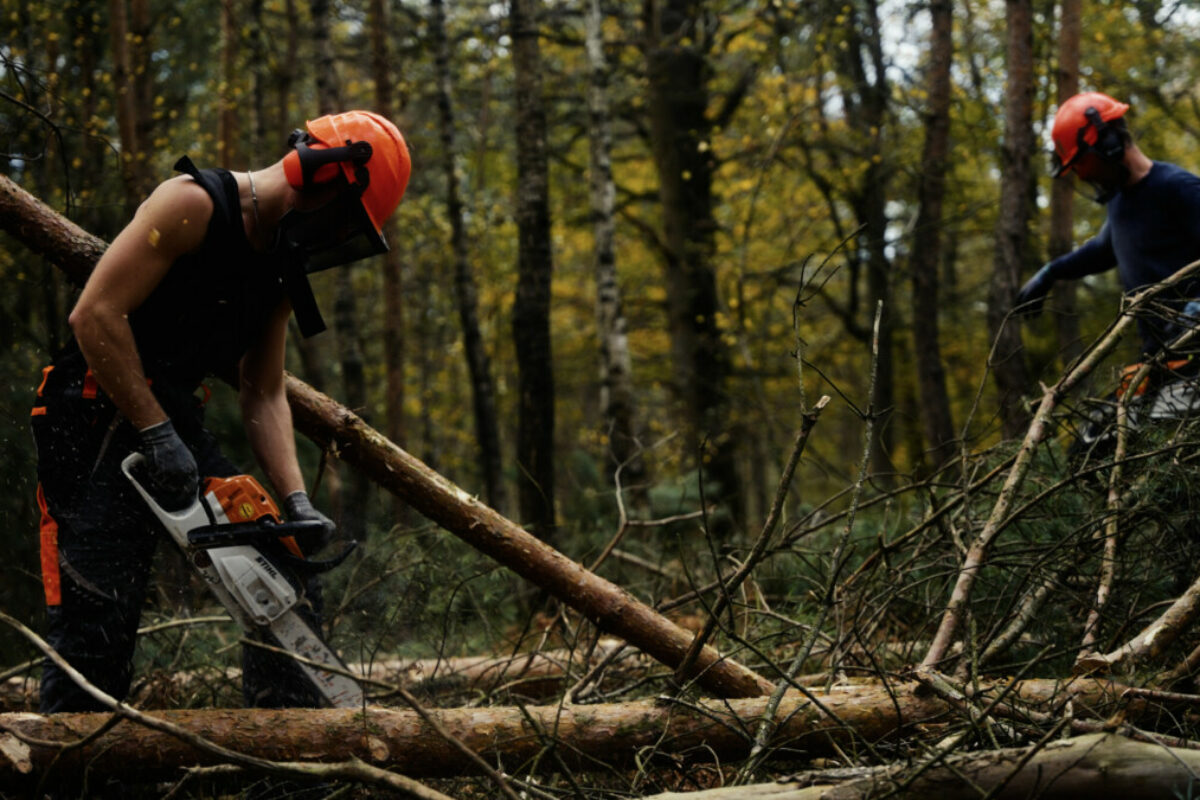 Groene Veluwe – European Tree Worker